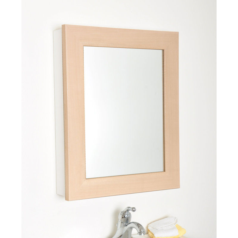 Gracie Oaks Friddle Farmhouse Grain Mirrored Surface Mount Framed 1